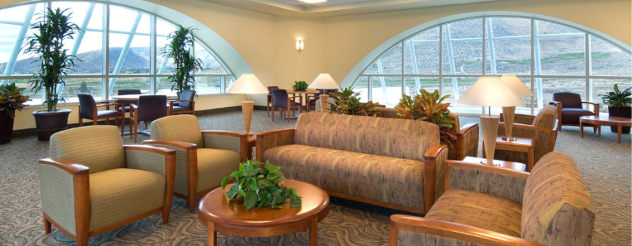 Embracing Biophilic Design in Healthcare: Creating Healing Environments with Nature