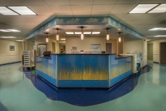 ICU Nurse Station