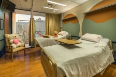 Semi-private Patient Room