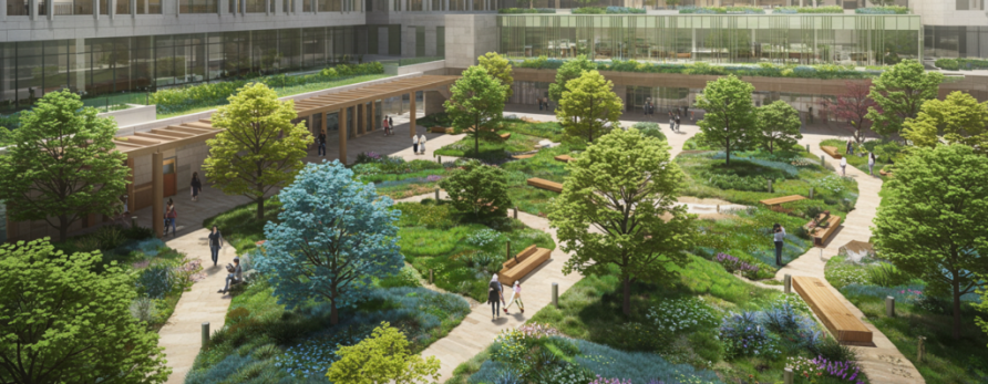Healing Through Nature: How Accessible Green Spaces Transform Hospitals into Community Sanctuaries